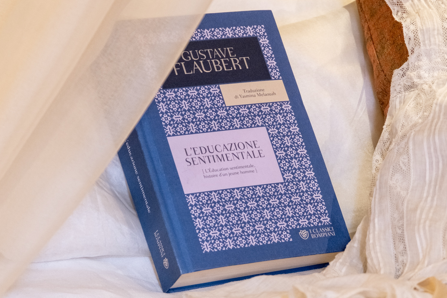 L'educazione sentimentale di Gustave Flaubert